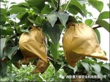 &#107;&#97;&#105;&#121;&#117;&#110;&#20307;&#32946;&#23448;&#26041;&#32593;&#31449;&#20840;&#31449;&#20837;&#21475;&#40;&#107;&#97;&#105;&#121;&#117;&#110;&#41;&#40;&#20013;&#22269;&#41;&#23448;&#32593;&#20837;&#21475;&#30331;&#24405;