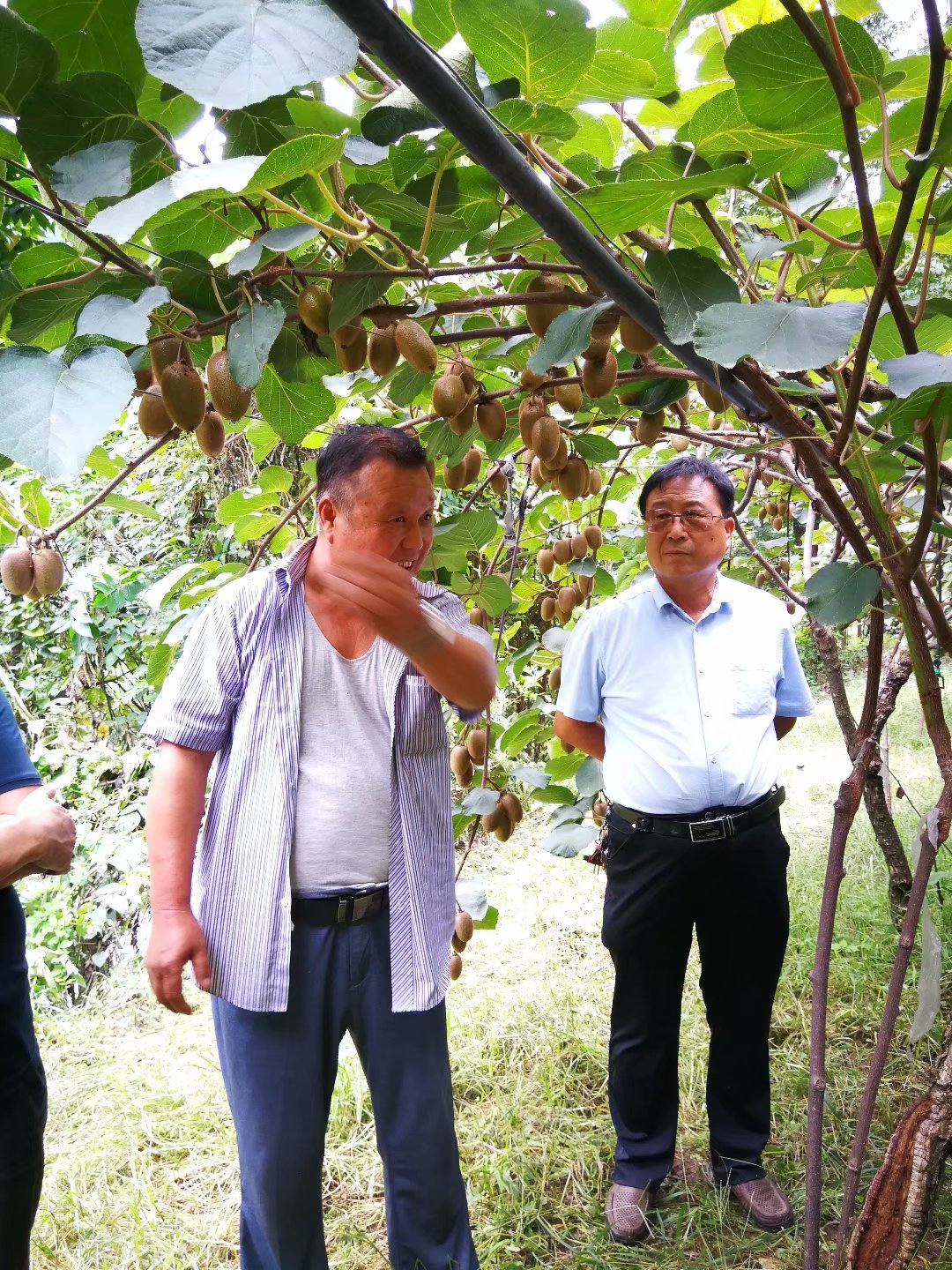 &#107;&#97;&#105;&#121;&#117;&#110;&#20307;&#32946;&#23448;&#26041;&#32593;&#31449;&#20840;&#31449;&#20837;&#21475;&#40;&#107;&#97;&#105;&#121;&#117;&#110;&#41;&#40;&#20013;&#22269;&#41;&#23448;&#32593;&#20837;&#21475;&#30331;&#24405;